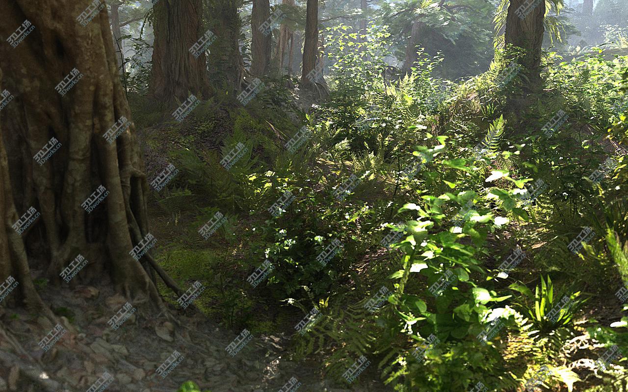 images/goods_img/20210113/Jungle Forest  Ecosystem Pack 20 3D model/2.jpg